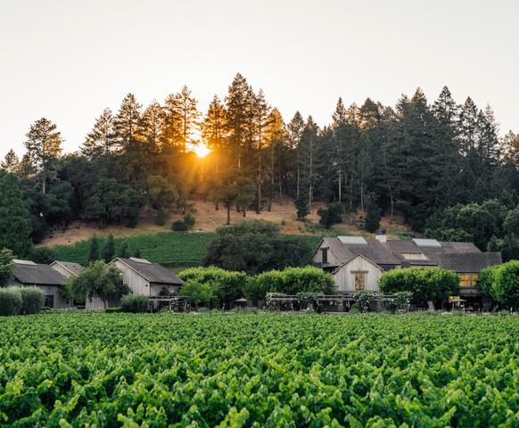 Welcome - The Napa Valley Reserve